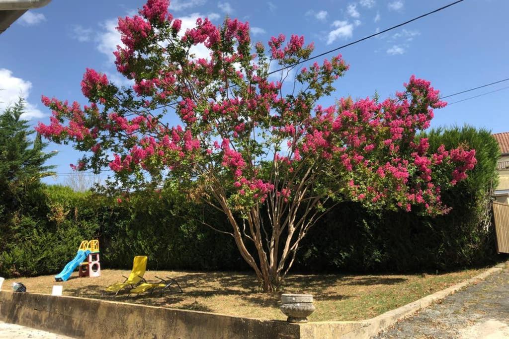Au Lilas Rose Maison Entre Campagne Et Village Belvès المظهر الخارجي الصورة