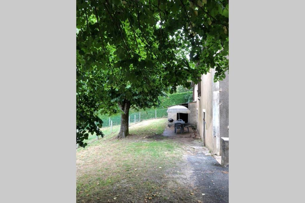 Au Lilas Rose Maison Entre Campagne Et Village Belvès المظهر الخارجي الصورة
